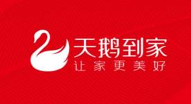 ���Z����